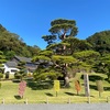 念願の九州旅　鹿児島 ③