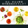 【室内栽培】安心・安全な食生活に。水耕栽培で野菜を育てたり、きのこを育てて楽しもう