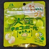 大玉チョコボール マスカットグミ！値段やカロリーや味は？コンビニで買えるチョコ菓子