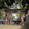 佐倉　麻賀多神社　その二