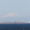 今日の富士山はかすみがち！！