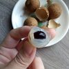 Nhãn(ニャン)・Longan（ロンガン）～竜の眼に似ている竜眼（りゅうがん）