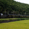 2024/09/25 SL人吉用50系客車+マヤ34-2009連結ツアー 復路