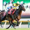 競馬初心者必見☆馬券予想🔥〜富士S〜豪華メンバーの中、意外なあの馬を本命に！〜