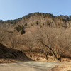 曽爾村・屏風岩～住塚山～国見山　柱状節理の絶景とプチ縦走