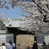 石川門の桜2018