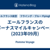 エールフランスのボーナスマイルキャンペーン(2023年09月)