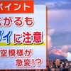 「カタブイ」とは？