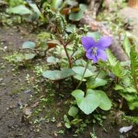 フィットネスインストラクターあるある！？　ep.-1　 昭和お立ち台ってホント！？