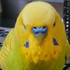 ３月１９日の相場を見てみたよ　チュン