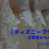 【ディズニープリンセス】白雪姫からメリダまでプリンセス集合
