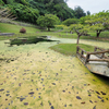 屋良城跡公園の池（沖縄県嘉手納）