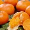ふるさと納税をした。「お得」な鳥取県米子市と「みかん」な愛媛県八幡浜市。