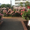 近所のローズガーデン（2025年）