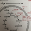 代謝学⑪＜脂肪を燃やしすぎるとミトコンドリアの死亡をもたらす③＞～オメガ６オメガ３は発ガンのしぼう？～