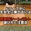 ドライブ中に犬を安全に乗せるには？「犬用車用シートベルト」の選び方と注意点