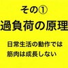 トレーニングの３つの原理‼️