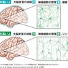 じじぃの「脳科学・IQの高い人の神経回路・頭が良いってどういうこと？面白い雑学」