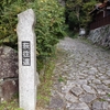 街道の木漏れ日。