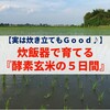 【実は炊き立てもＧｏｏｄ♪】炊飯器で育てる『酵素玄米の５日間☆』