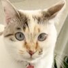 幸せをありがとう😽　うみちゃんねるを紹介するにゃ 19