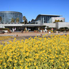 千葉市花の美術館