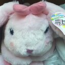 ○○に行ってきた！！