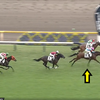 カネラフィーナ　2歳未勝利戦優勝