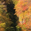 大長谷（富山県）の紅葉！