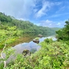 風吹大池（長野県小谷）