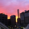 雨の知らせ♪真っ赤な朝焼けと西の空の虹🌈【スマホ撮り】