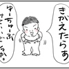 言い間違い、ではなかった。