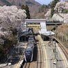 甲斐大和の桜