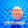 【卵が割れないＧゼロクッション】腰痛は治った？使ってみた全てを徹底解説！！　