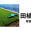 2025年田植終盤