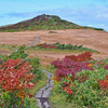 初期紅葉の栗駒山・後編（2020年9月29日）