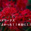 【クラウドワークスやめたい】クラウドワークスは全く稼げない。辞めたい（搾取されてばかりで疲れた）