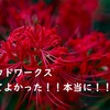 【クラウドワークスは稼げない！】クラウドワークスは主婦だからこそ辞めたほうがいい！在宅ワークとして選ぶべきではない！