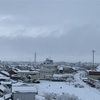 雪が降りました！