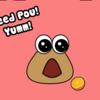 Simple pou Secrets - A Background