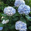 9月のテーマ