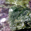濃いアップルグリーンの兜岩の面白結晶！