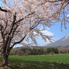 これぞ東北の春！ 福島県の「残雪の山と桜の共演スポット」13選