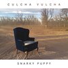 現代の最強バンドSnarky Puppyの『Culcha Vulcha』は凄すぎて褒めちぎるしかできない