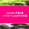 トラリピ2020年1月第3週5,939円の利益