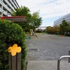 2023/10/05 東大和市・国分寺 08 上水本町こぶし公園/ルネサスエレクトロニクス（株）/動物衛生研究所/上水本町わんぱく公園/上水本町こもれび公園/けやき公園