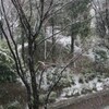 雪