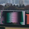 東京競馬場の小島さんのマイルチャンピオンシップ予想画像