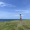 信州の海：新潟県上越からの夏休みの宿題