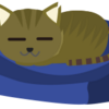 猫には何が見えてるの？